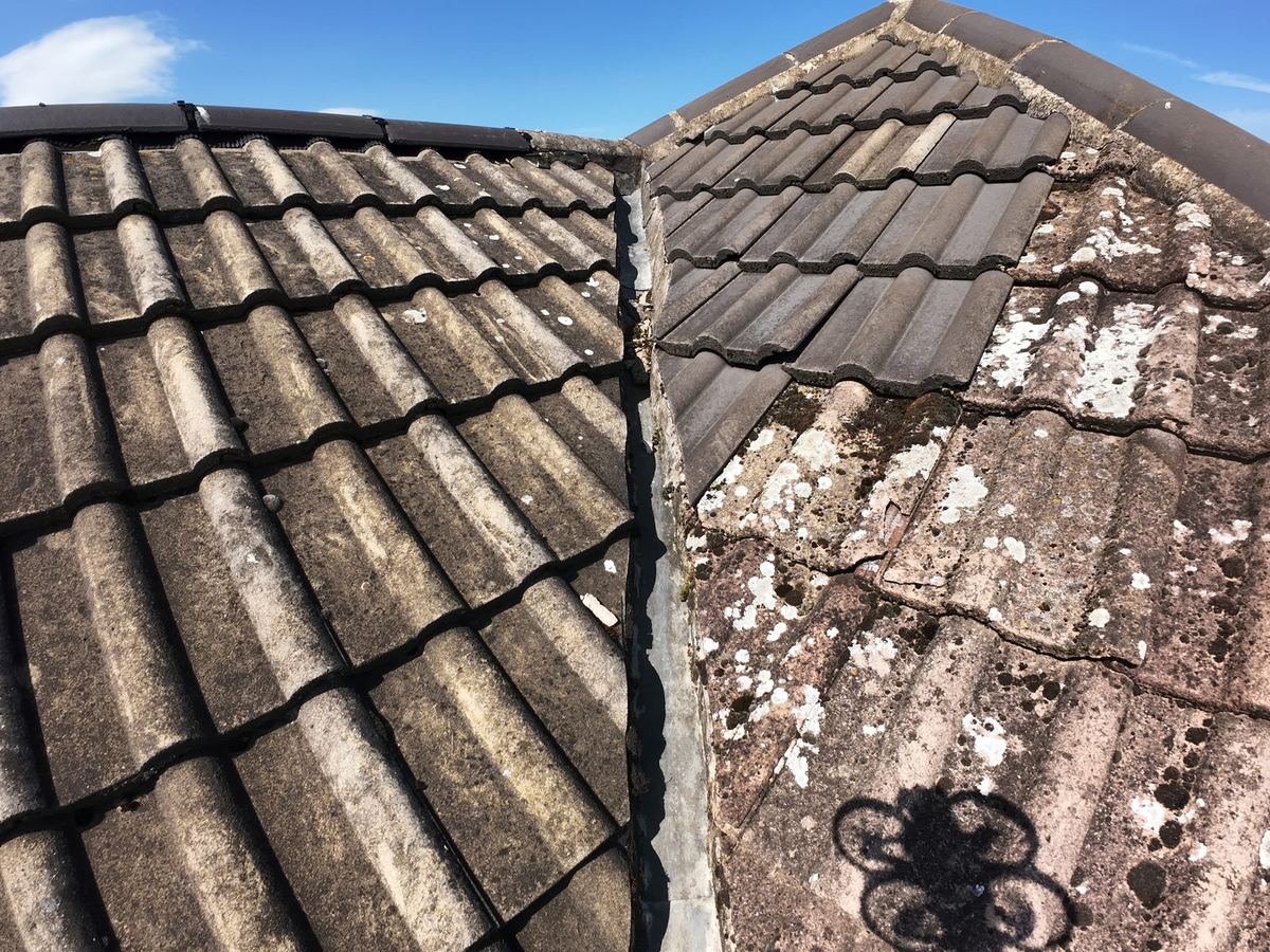 Drone survey photo showing lichen and weathered concrete roof tiles, with the drone's shadow